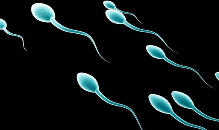 Hiệu quả phương pháp tránh thai bằng cách xuất tinh ngoài phụ thuộc nhiều vào khả năng kiểm soát cực khoái của nam giới, ảnh tinh trùng 