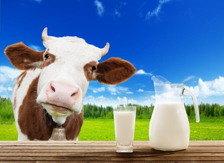 sữa nào tốt cho người bị thoái hóa cột sống