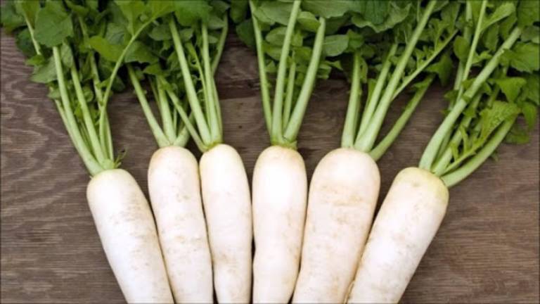 Củ cải trắng có tác dụng tốt với người mắc phong thấp