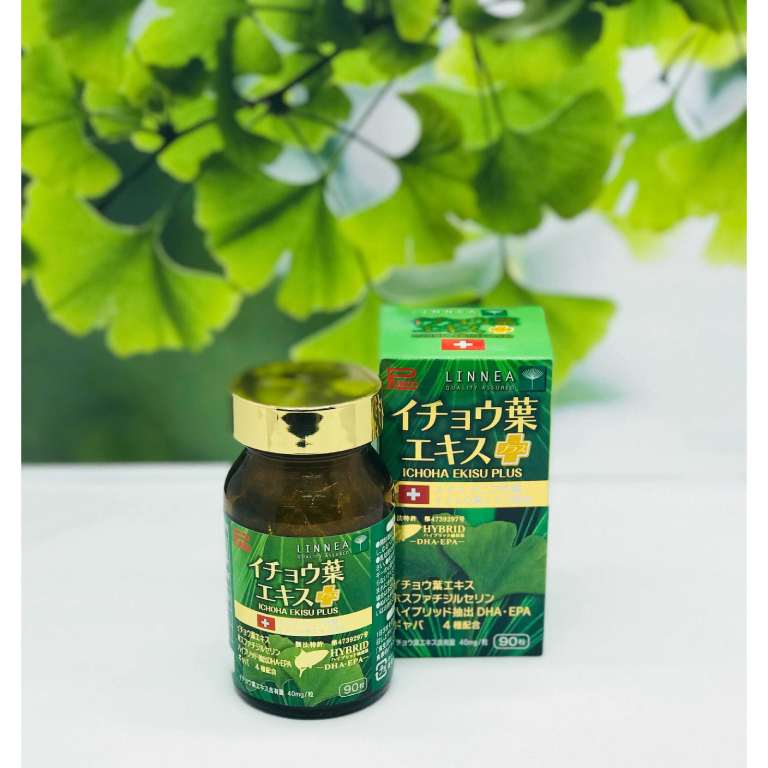 Ichoha Ekisu Plus Ribeto được chiết xuất từ lá cây bạch quả có tác dụng tốt trong việc hỗ trợ điều trị rối loạn tiền đình