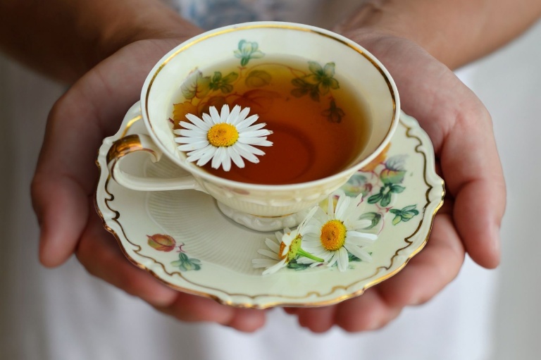 uống trà hoa cúc chữa nhiệt miệng